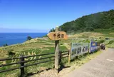 道の駅千枚田ポケットパーク