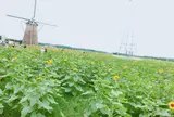 佐倉ふるさと広場