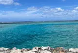 United Seamen's Service Beach