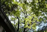 熊野神社