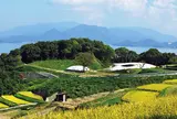 豊島美術館
