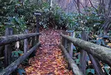 大湯沼川天然足湯