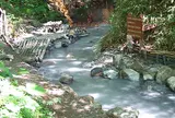大湯沼川天然足湯