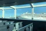 シーバス