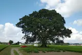 練貫