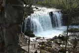 奥入瀬渓流