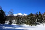 牛留池