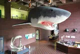 埼玉県立自然の博物館