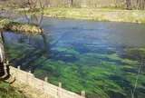 大王わさび農場