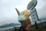 株式会社 ドルチェ 本店