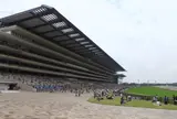 東京競馬場