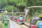レイルバイク　旧山線鉄道自行車(勝興車站Aコース)