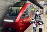 特急ひのとり
