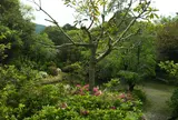 童子山公園