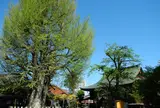 飛騨国分寺