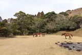 都井岬