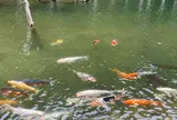 一の俣桜公園