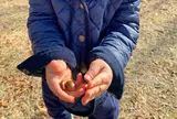 新宮中央公園