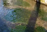 地蔵川