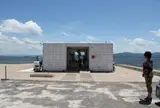 ダイコン