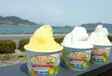株式会社 ドルチェ 本店