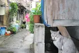 別府市街地の路地