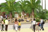体感型動物園 iZoo (イズー)