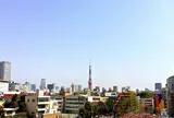 森アーツセンターギャラリー