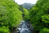 吉田川