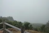 大瀬崎灯台