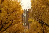 東京大学