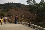 円山公園