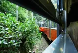 箱根登山鉄道沿線