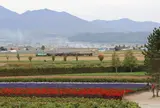 ファーム富田
