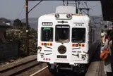 たま電車