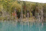 青い池