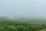 大観峰