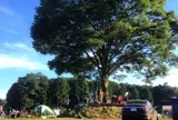 加藤牧場（千葉・草原のこころファーム）