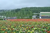 フラワーランドかみふらの