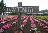 ファーム富田