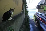 江の島