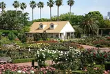習志野市谷津バラ園