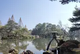 兼六園　雪吊り今日まで！