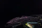 白米の千枚田