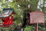 黒龍堂