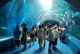 エプソン品川アクアスタジアム