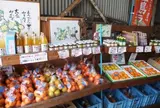 山清青果