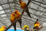 掛川花鳥園