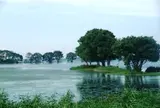 湖北野鳥センター