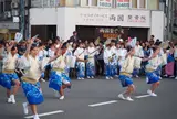 藍場浜演舞場 (阿波おどり) 有料演舞場
